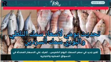 تغير جديد في سعر السمك اليوم الخميس.. تعرف على الأسعار المحدثة في الأسواق المحلية والتجارية